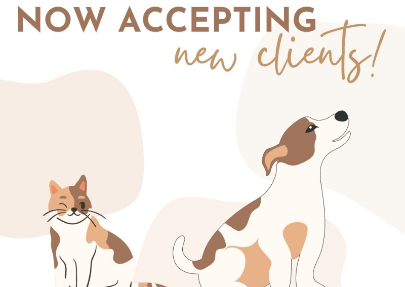 Carousel Slide 1: Accepting new clients Lake Parkway Animal Hospital
