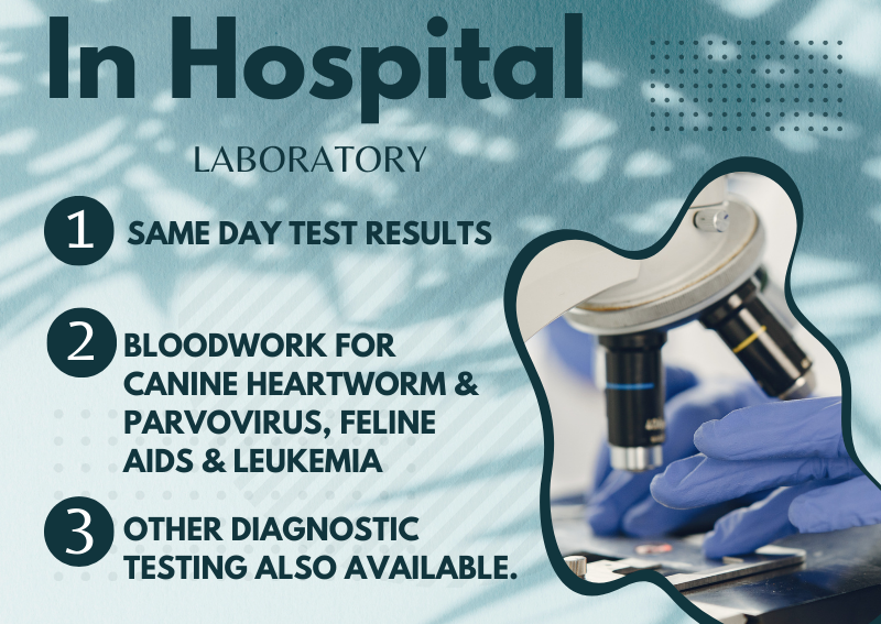 Carousel Slide 2: In-Hospital Lab Lake Parkway Animal Hospital