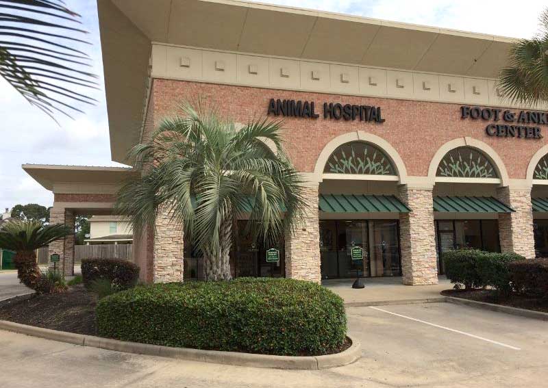 Carousel Slide 5: Learn more about us!